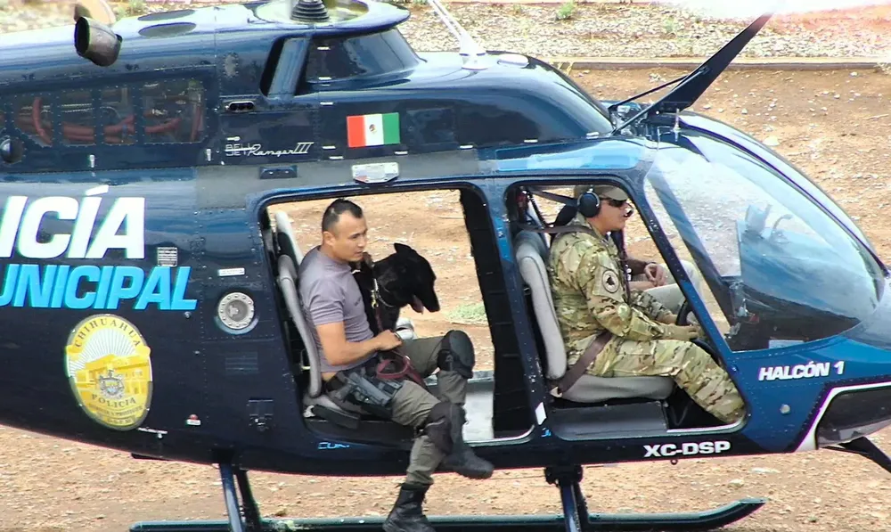 perro helicop