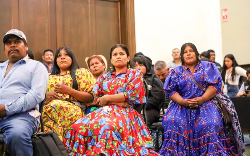 indigenas