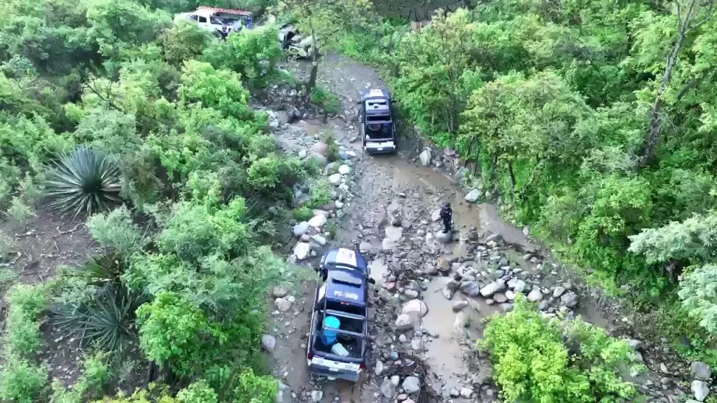 VID-20260708-WA0084