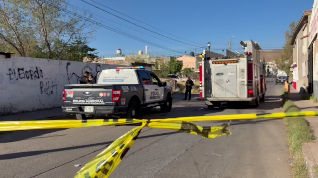 WhatsApp-Video-2026-03-22-at-09.02.31