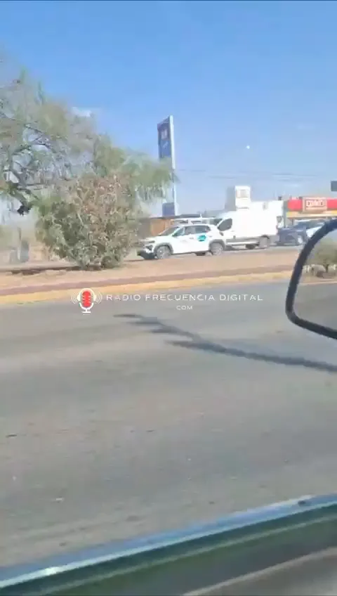 VID-20250618-WA0002