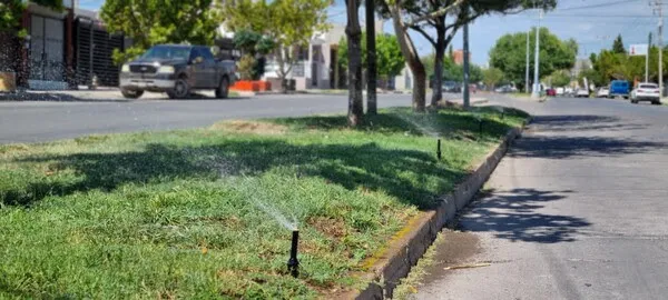 agua camellon