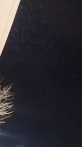 Facebook 1394969769079360(720P_HD)