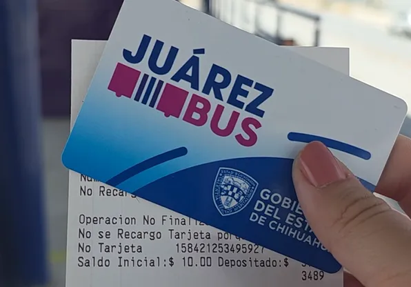 bus