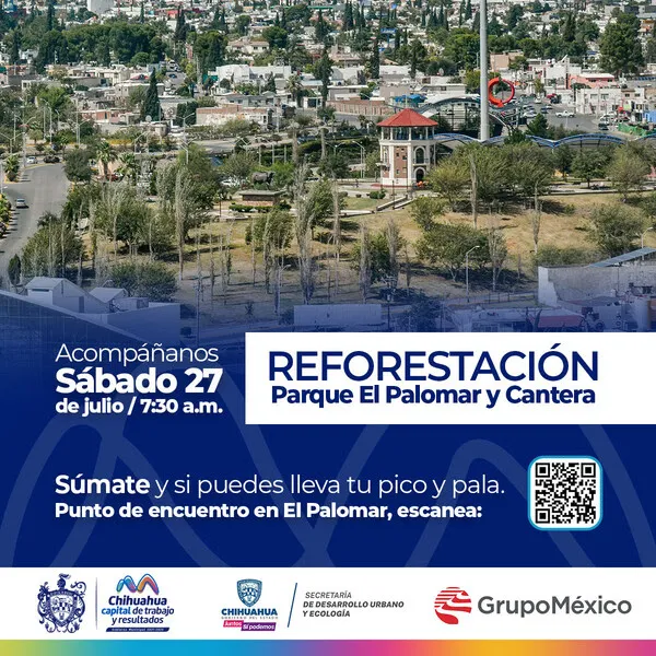 reforestar