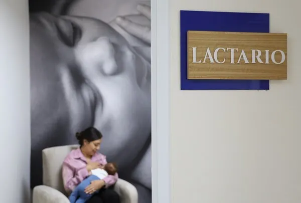 lactarios