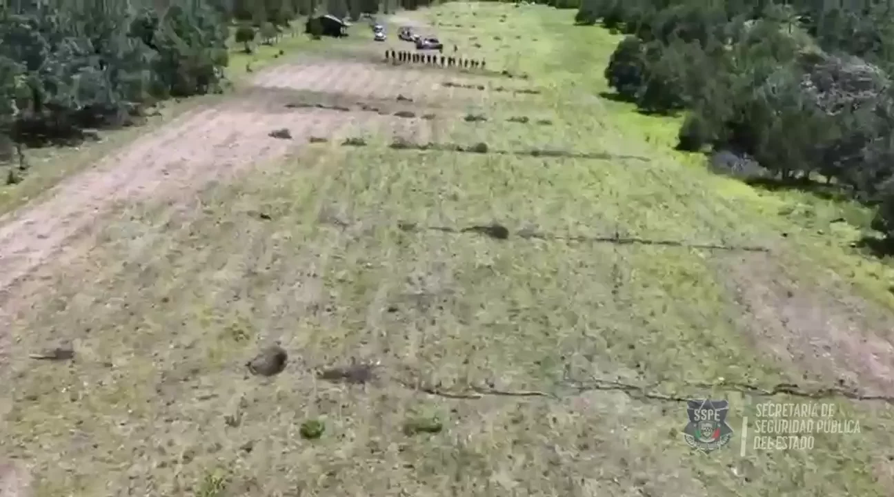VID-20260814-WA0018