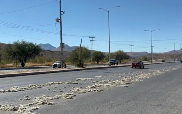 wmremove-transformed (1)