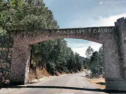 guadalupe y calvo
