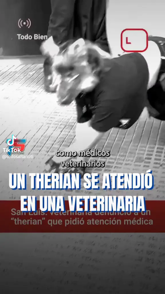 a438137de7272fc1f3c47b1138b5d81d