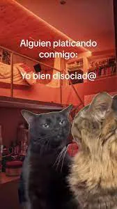 descargar