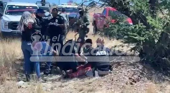nuevo delicias