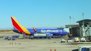 shutterstock_2375662675