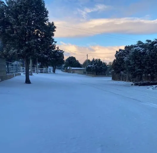 gomez nieve 1