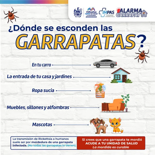 garrapata