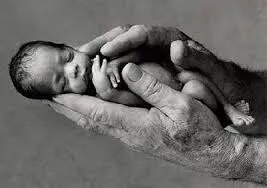 no al aborto