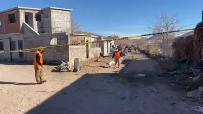 WhatsApp-Video-2026-01-02-at-10.37.30