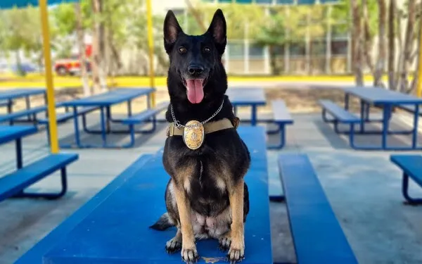 k9