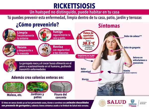 Rickettsia