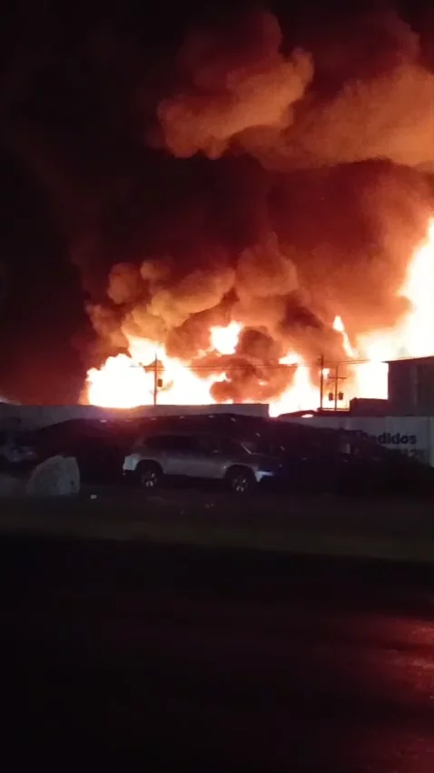 WhatsApp Video 2026-03-20 at 9.16.08 PM