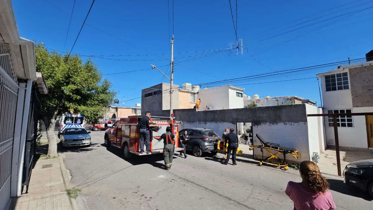 cae de su techo