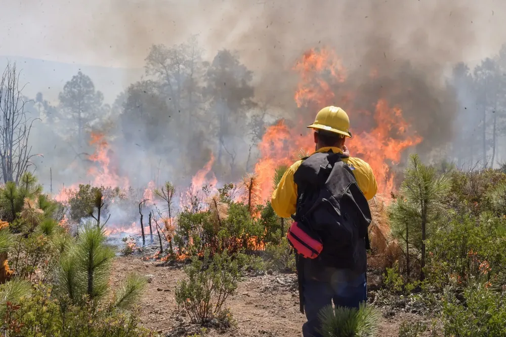 incendio forestal