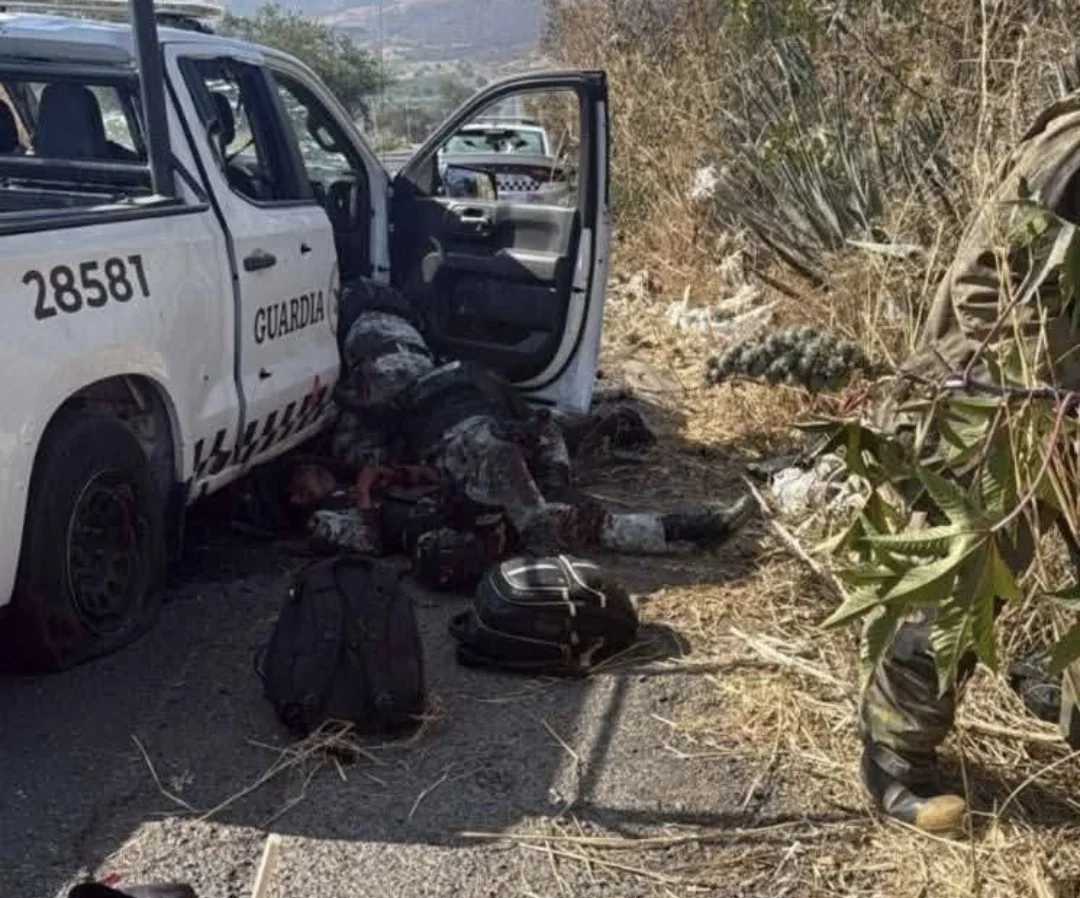 Screenshot_20260223_112454_WhatsApp