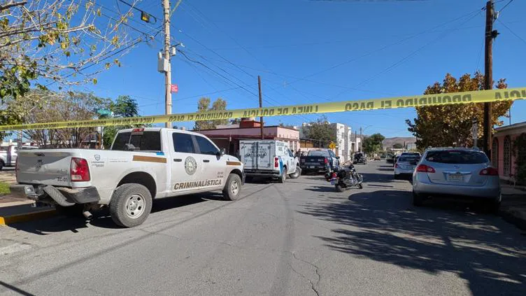 principal_inshot_20251124_112836668