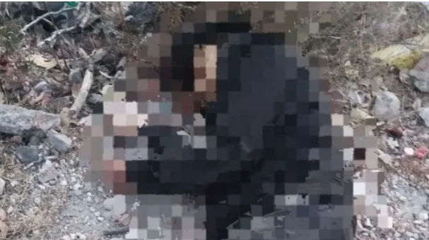 Screenshot_20250502_102919_Chrome