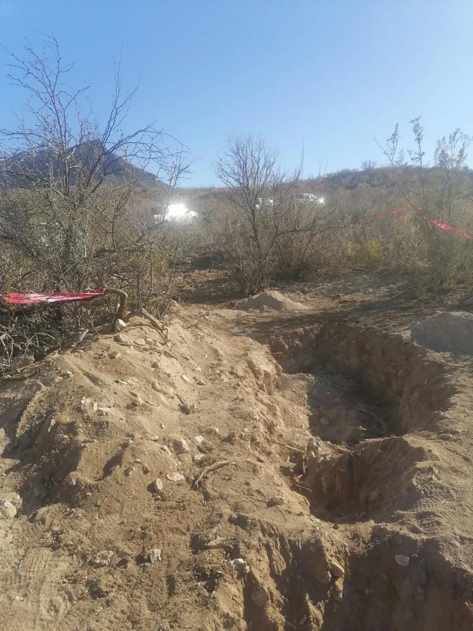 IMG-20250203-WA0142