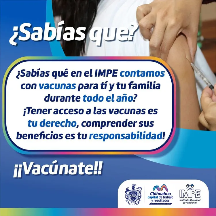 WhatsApp Image 2025-01-10 at 2.28.08 PM