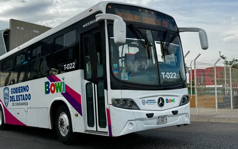 bowi
