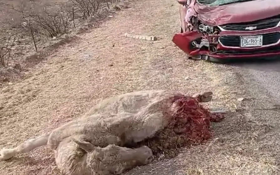 Screenshot_20250108_102950_Chrome