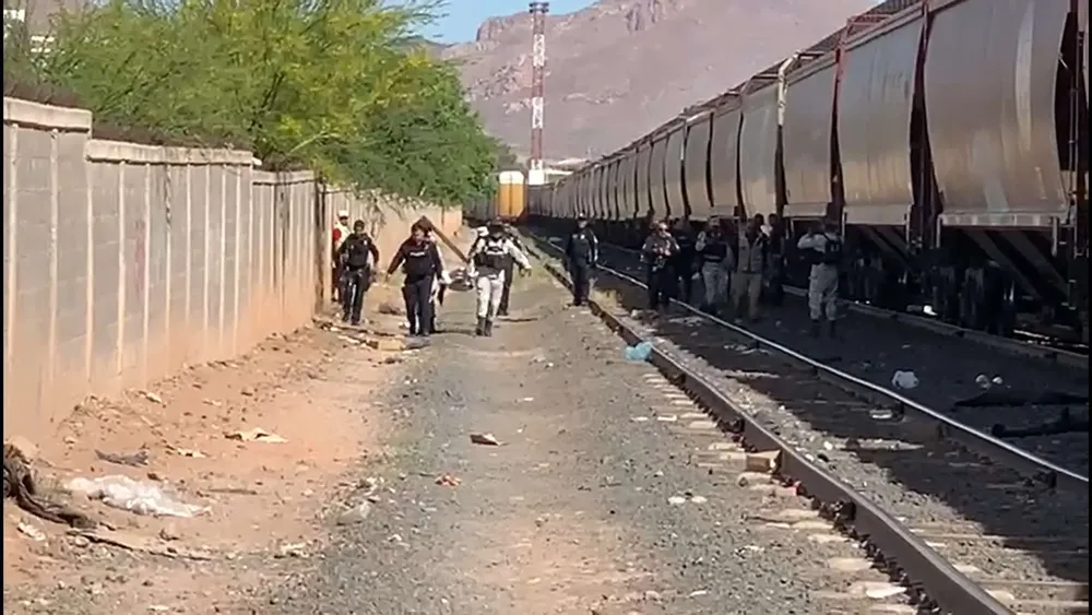 migrante pie