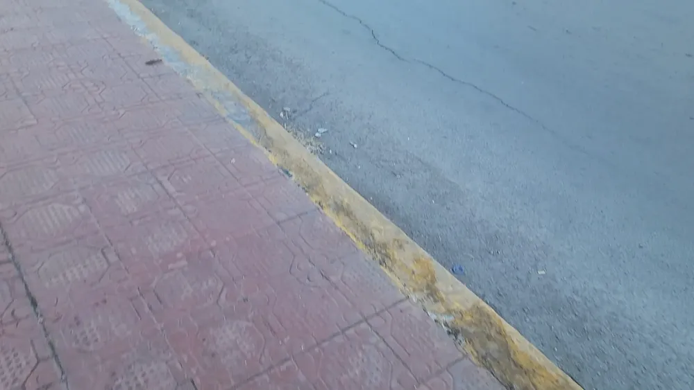 VideoCapture_20250124-092655