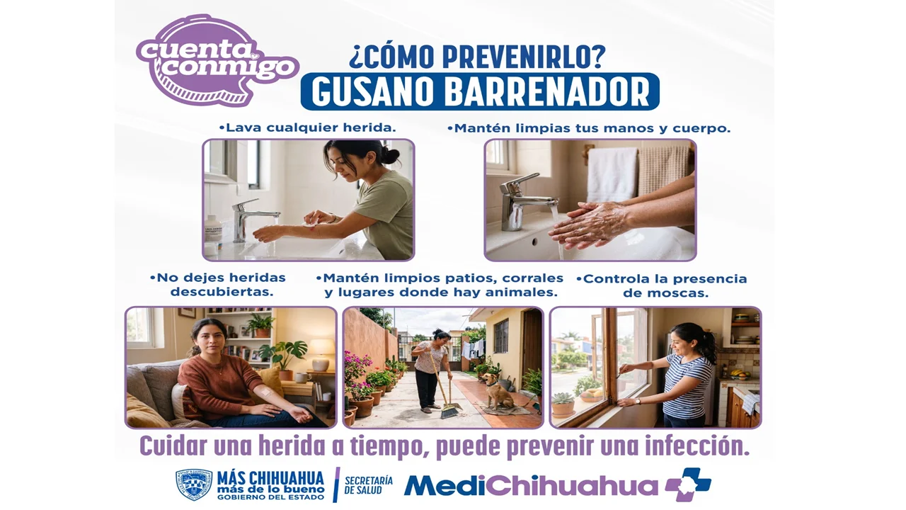 prevenir gusano 