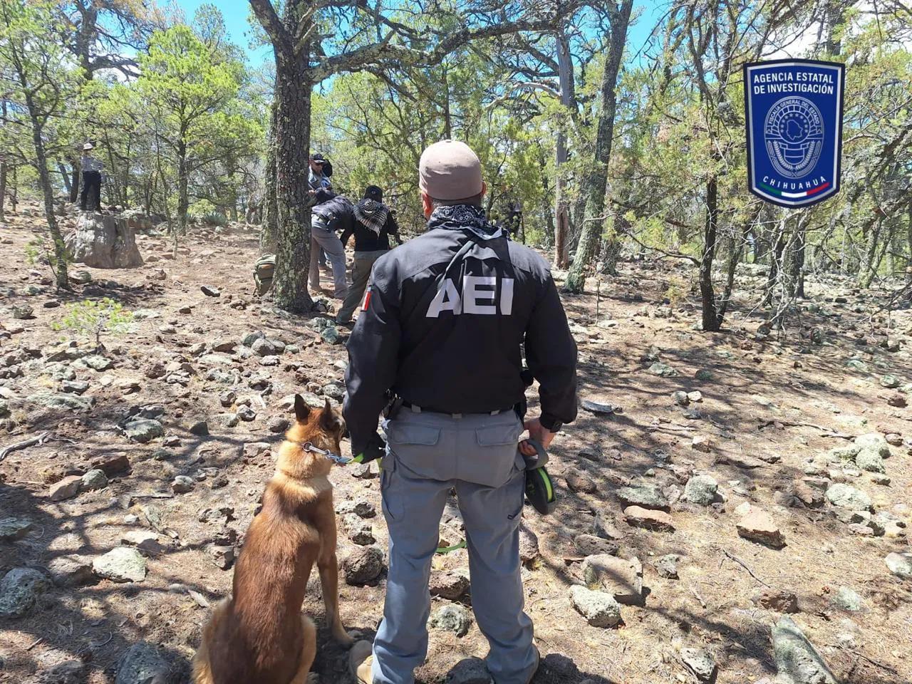 aei dog