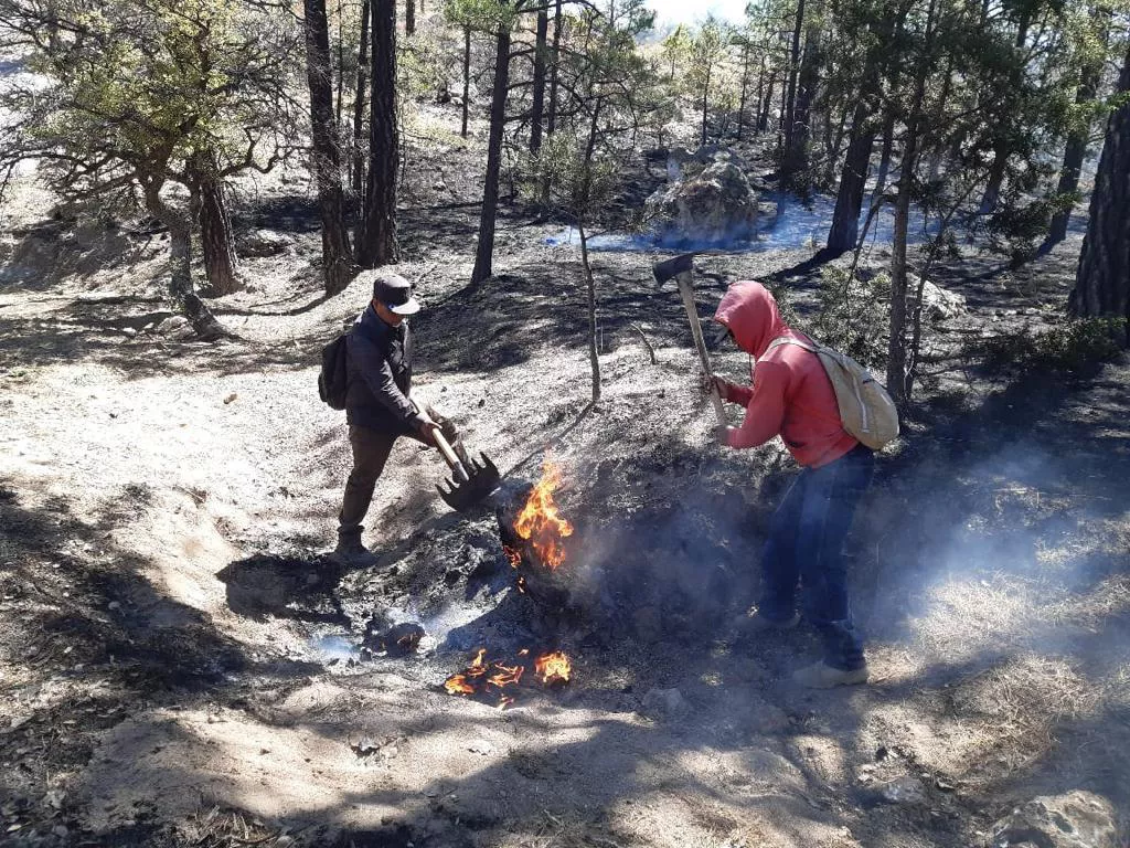 incendio forestal