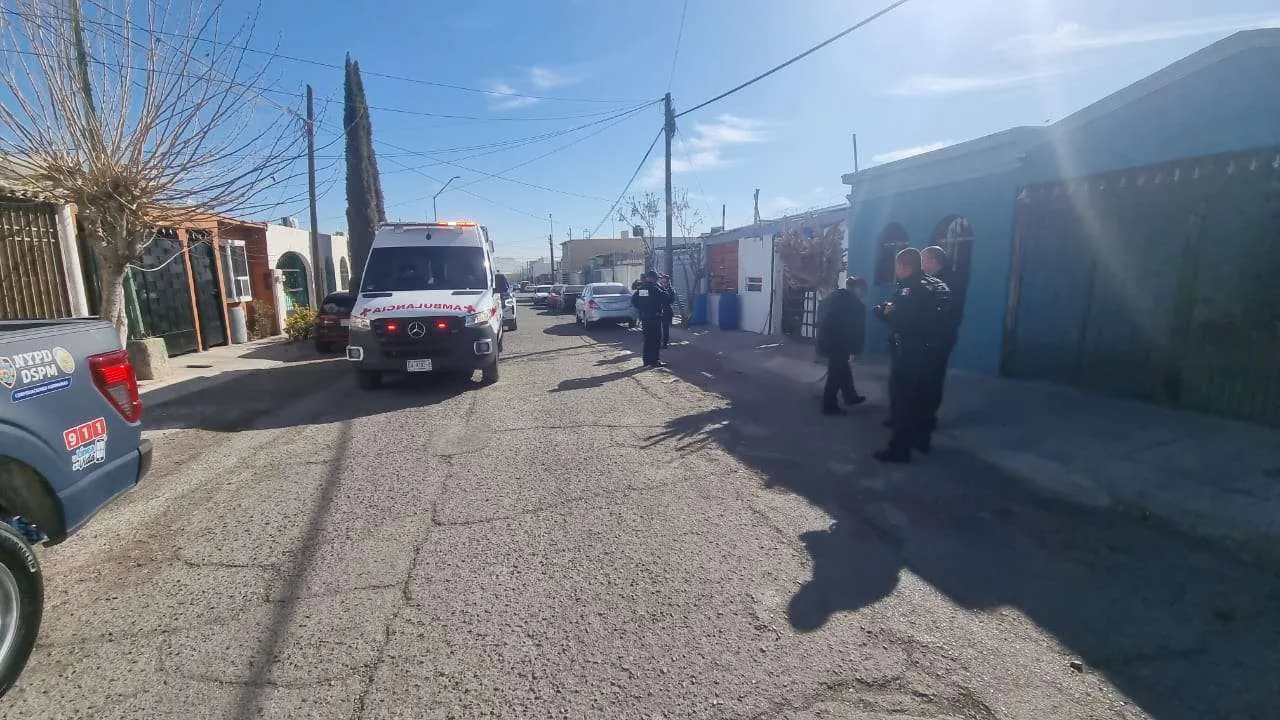 t8ENOA7KCfzpLHS2 (1)