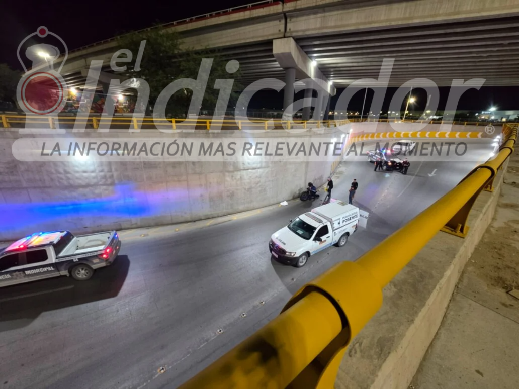 puente joven-34fb0b08-e1b9-4889-846d-2f4ea61b6fe7