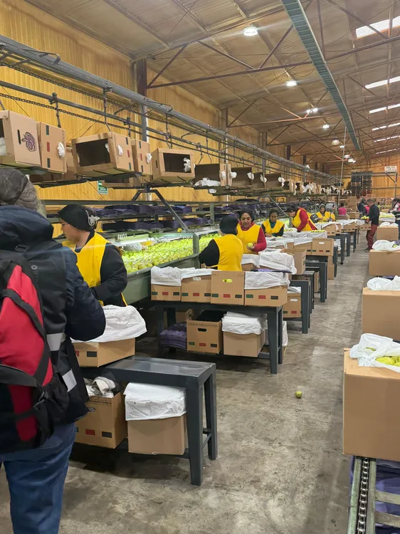 WhatsApp Image 2025-11-20 at 12.51.46 (3)