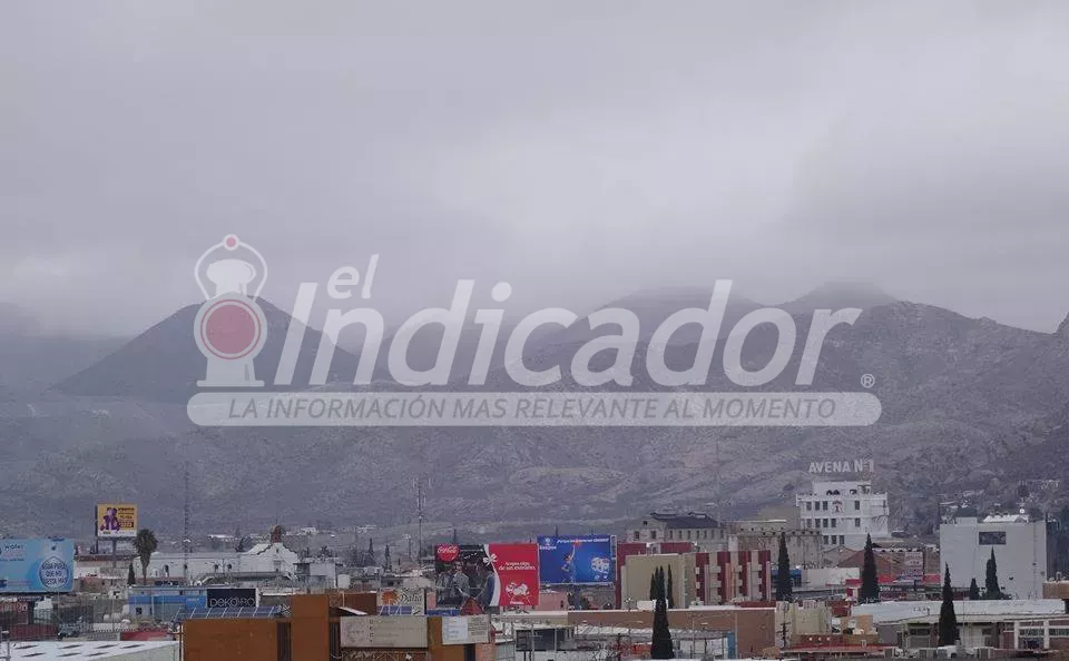 Chihuahua, frio, niebla, navidad