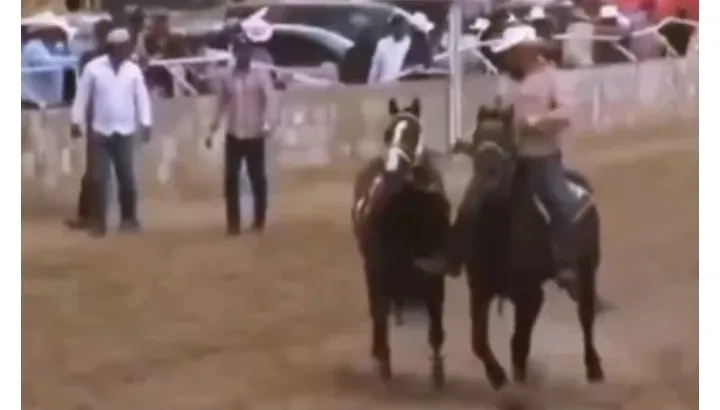 Screenshot_20251117_172348_Chrome