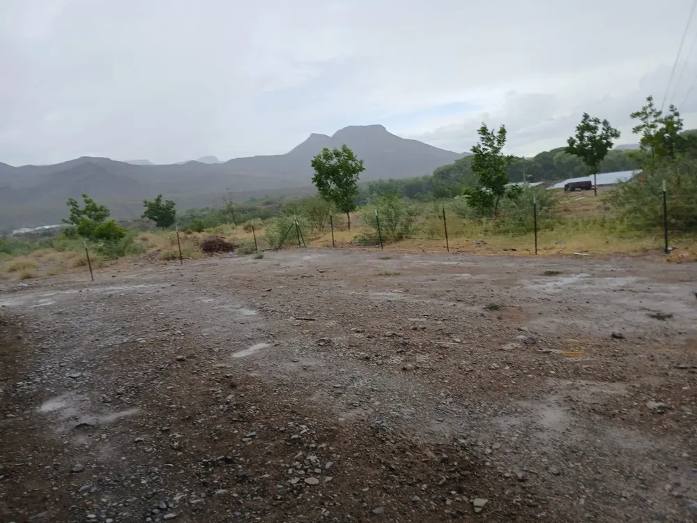 IMG-20260616-WA0055