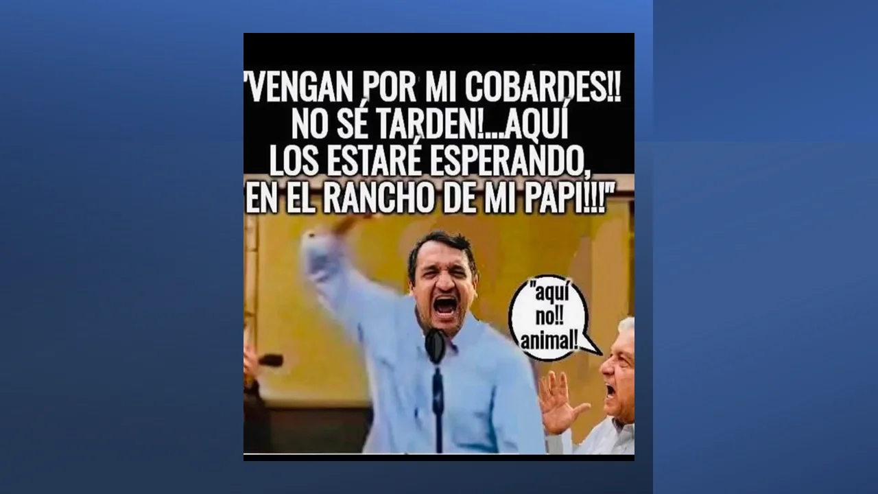vengan