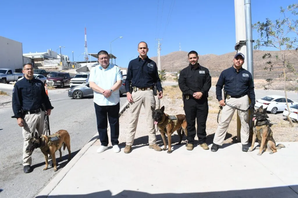 k9 retiro