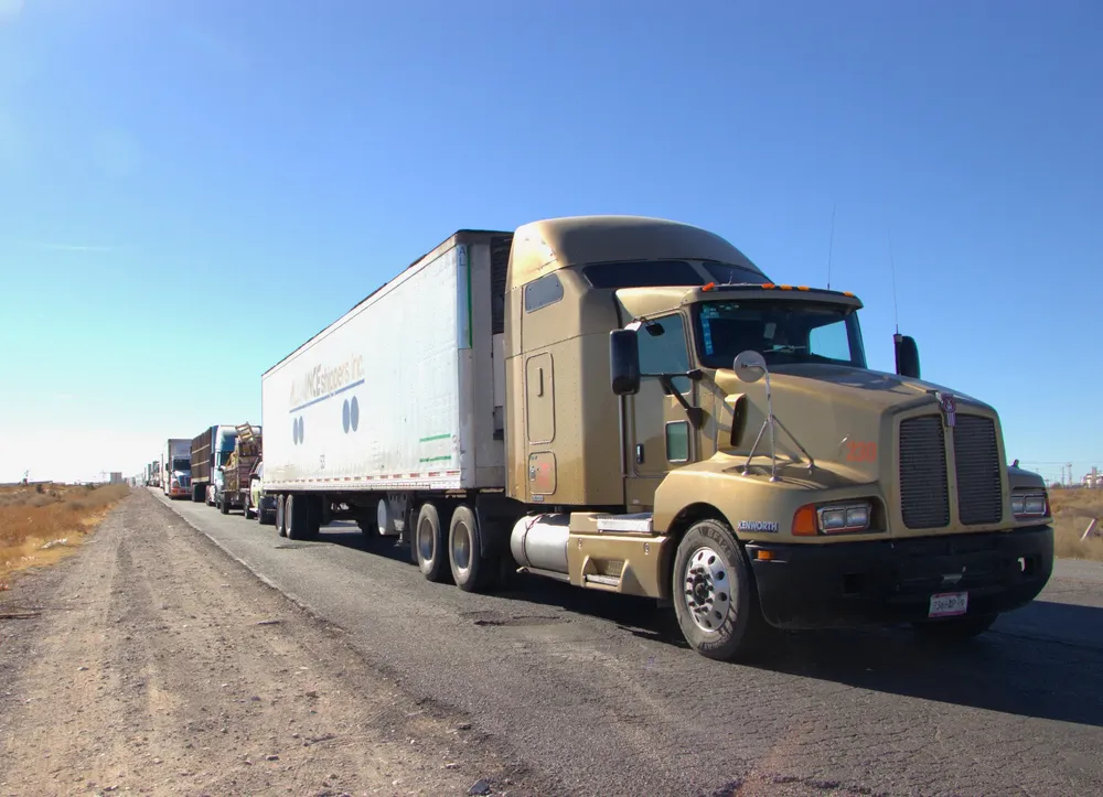 WhatsApp Image 2025-12-24 at 8.35.13 AM