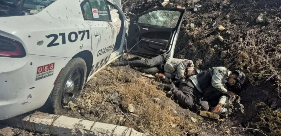 Screenshot_20260223_112503_WhatsApp