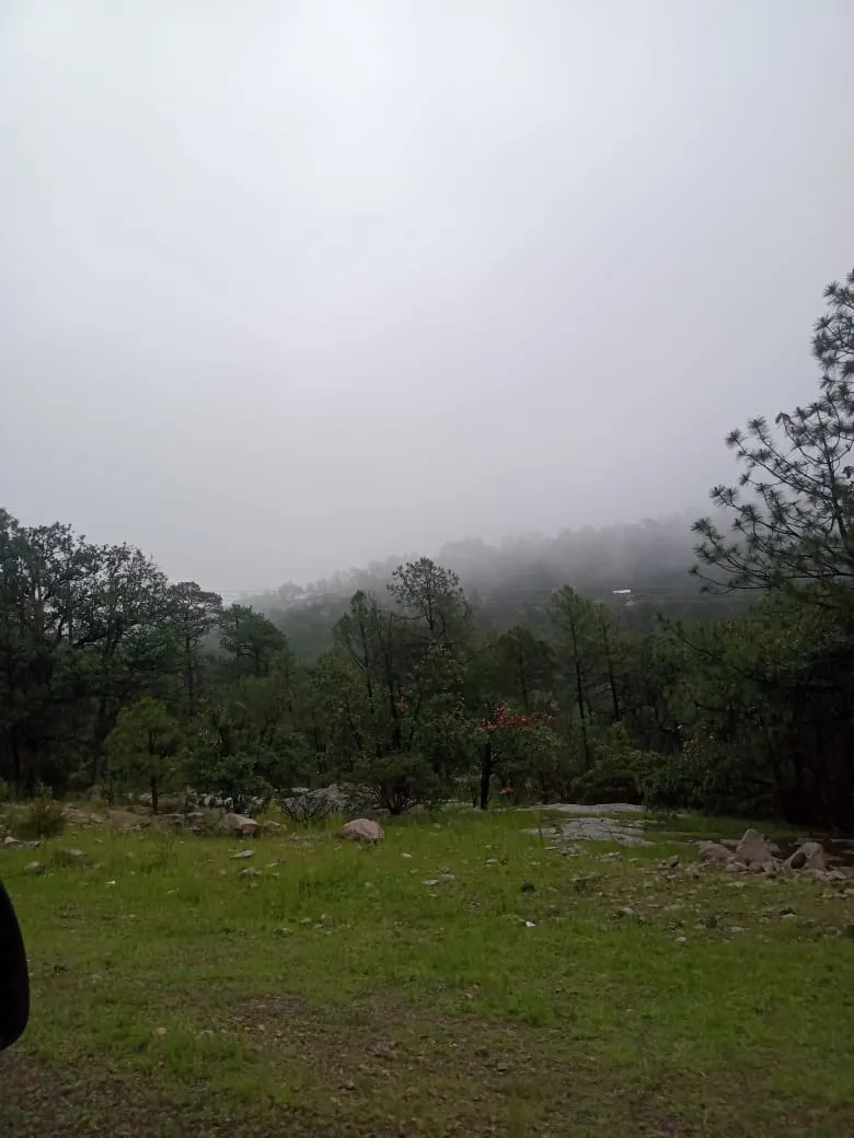 IMG-20250928-WA0005