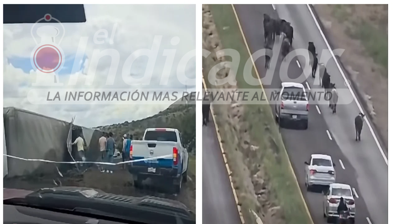 trailer ganado